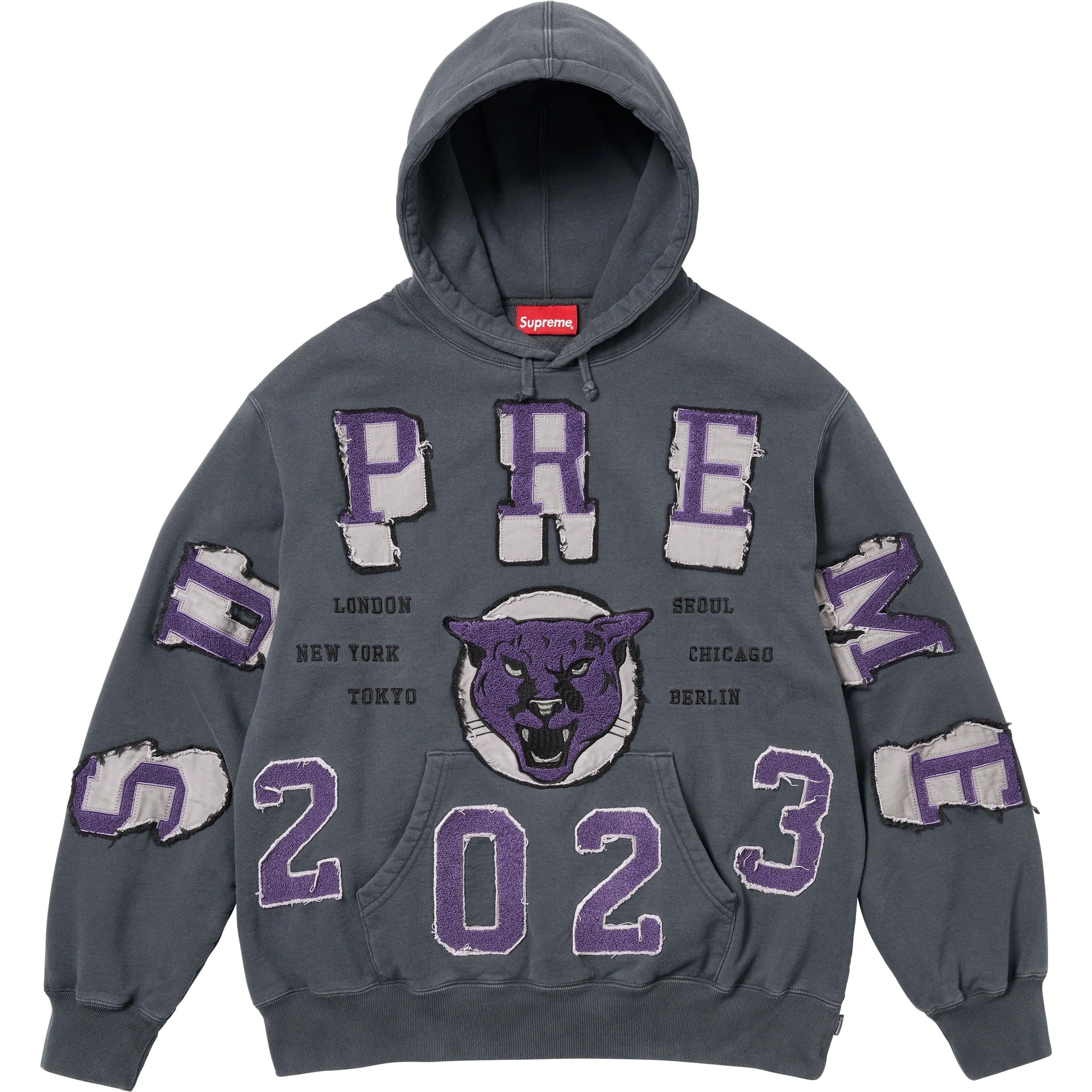 Washed Panther Hooded Sweatshirt view 10